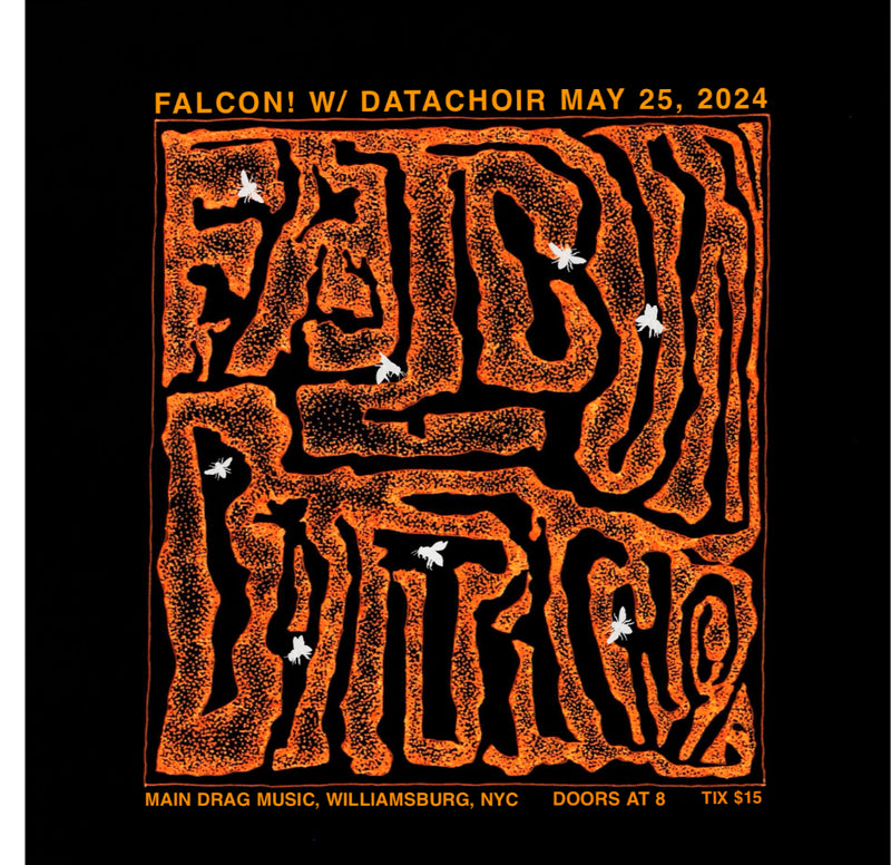 5/25/24 Falcon! / Datachoir