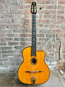 Used Gitane DG-300 John Jorgenson