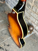 Used Epiphone Viola Bass