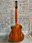 Used Gitane DG-300 John Jorgenson