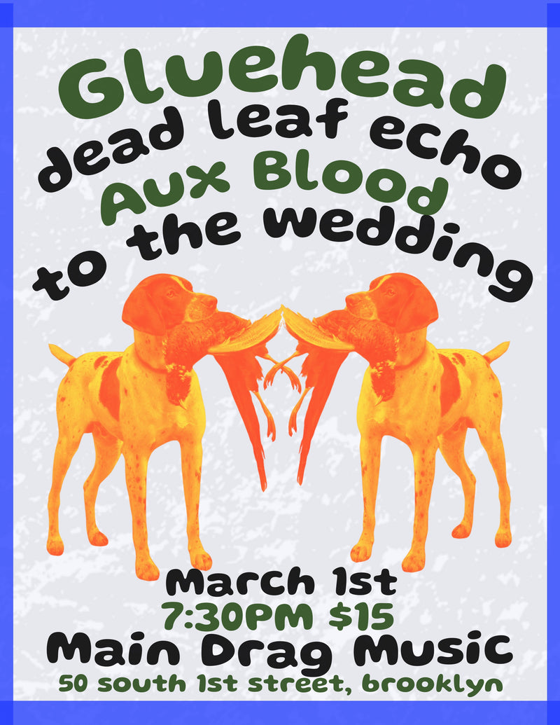 3/1/24   Gluehead/ Dead Leaf Echo/ Aux Blood/ To The Wedding