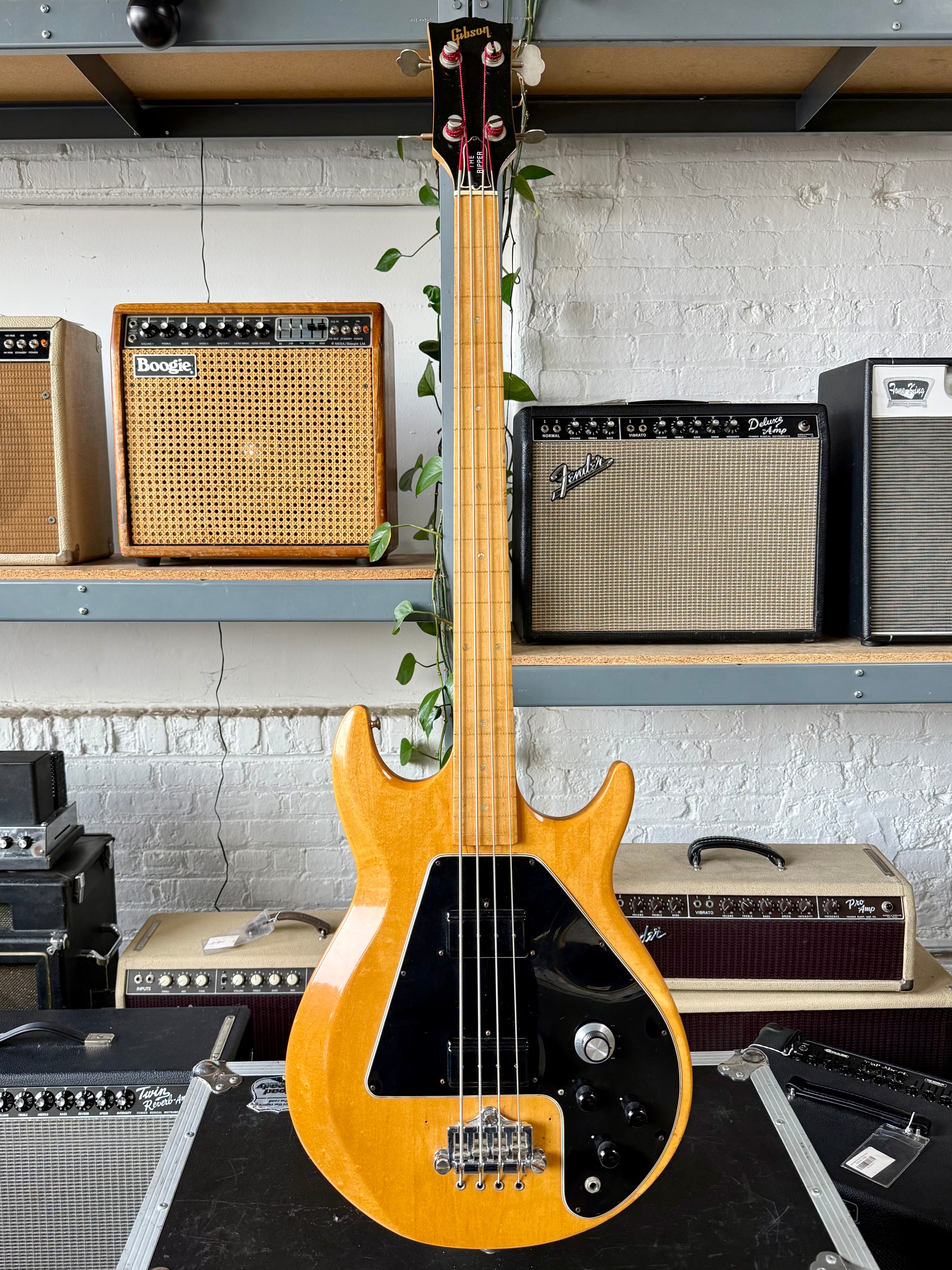 1978 Gibson The Ripper - Fretless (modified)