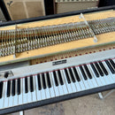 1976 Fender Rhodes Suitcase 73