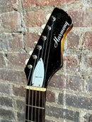 1960's Harmony H15 Bobkat