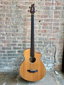 Used Breedlove Solo Bass Fretless