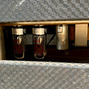 1967 Ampeg Gemini I