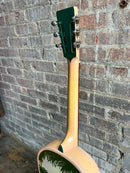 1991 National Islander