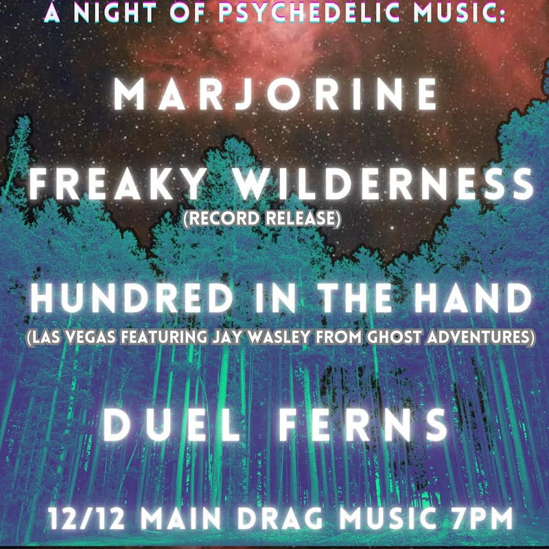 12/12/24 Freaky Wilderness Record Release w/ Marjorine / Hundred in the Hand / Duel Ferns