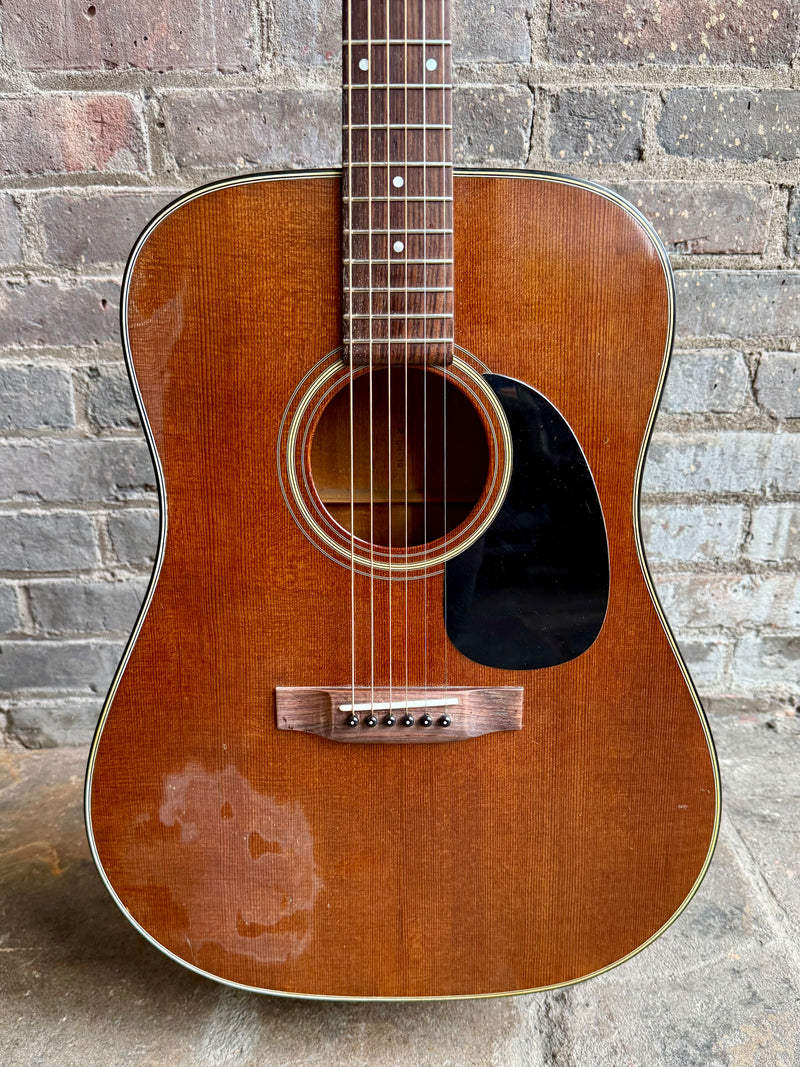 Ca. 1982 Sigma by Martin DM-19