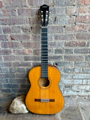 1967 Framus Folk Guitar