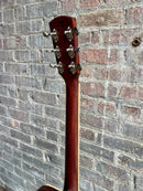 Used Alvarez MD-60 EBG