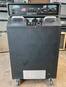 2000's Acoustic 360 Bass w/361m Cabinet