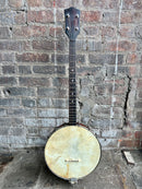 No-name 4 String Banjo
