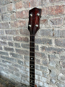 No-name 4 String Banjo