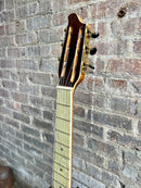 Stromberg-Voisinet Hawaiian Guitar