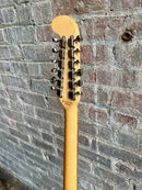 2019 Fender Alternate Reality Electric XII