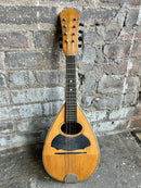 Ca. 1910's Stella Bowl-Back Mandolin