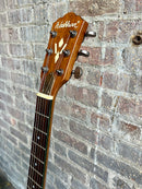 Used Washburn HB-32-DM