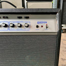 Ca. 1972 Ampeg Gemini 22