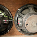 Ca. 1972 Ampeg Gemini 22