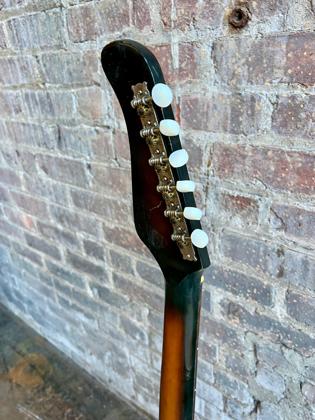 IMG_6950_1200x.heic?v=1707172371 IMG_6950_1200x.heic?v=1707172371