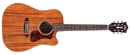 Guild D-120CE