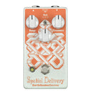 Earthquaker Devices Spatial Delivery Sample & Hold Envelope Filter V2