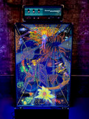 1968 Coral Kilowatt Head with Ca.1970 Fender 4x12 Cabinet