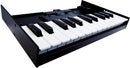 Roland K-25M Boutique Keyboard Unit